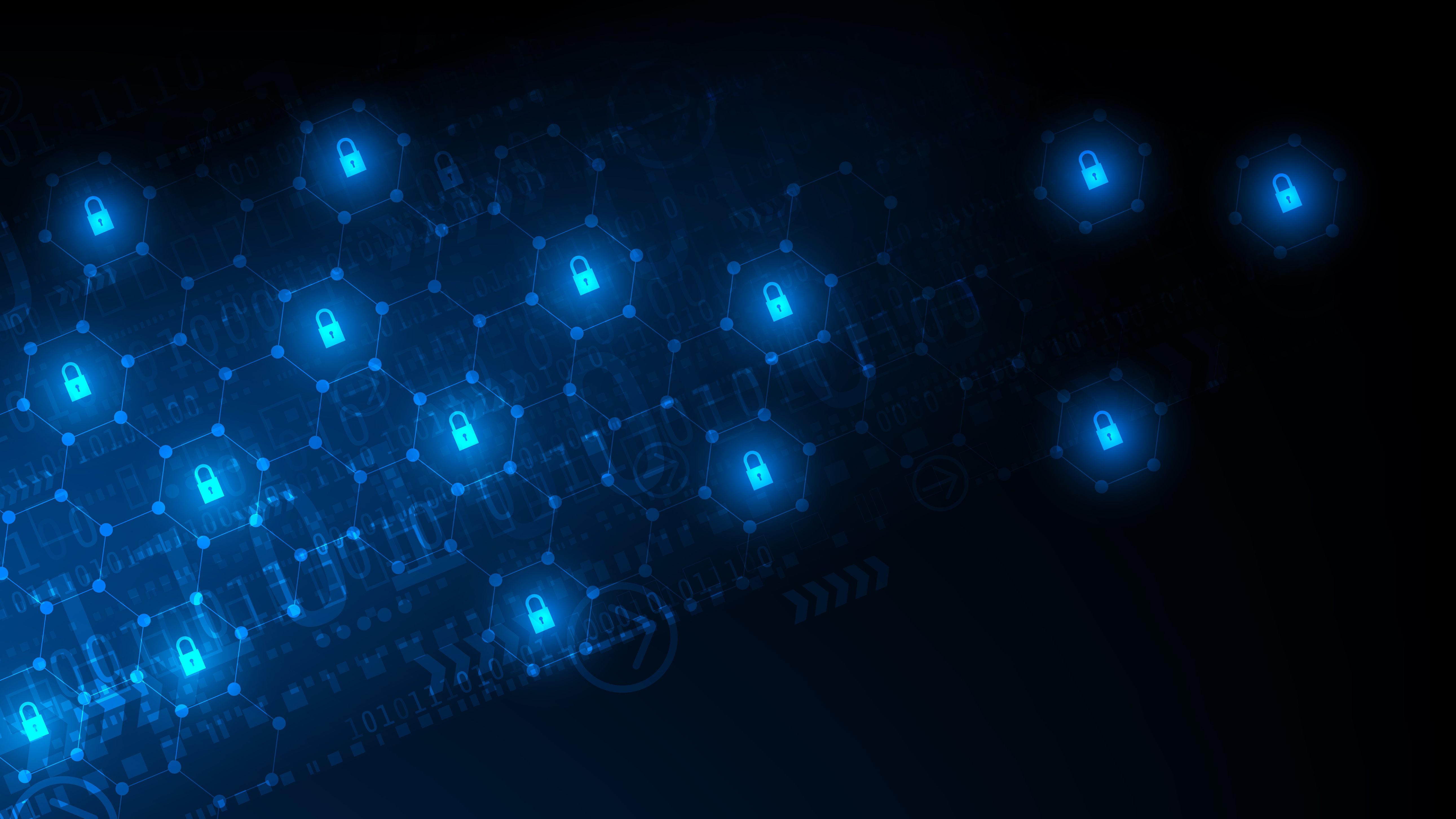 The Katina Kay Leak: A Cybersecurity Case Study - 813yvl7